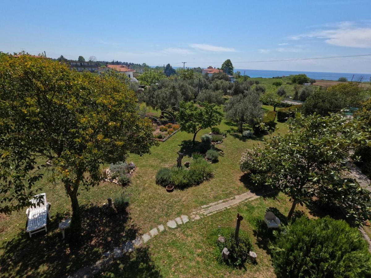 Pond And Pines, By Nice House By The Sea! Epanomi Zewnętrze zdjęcie