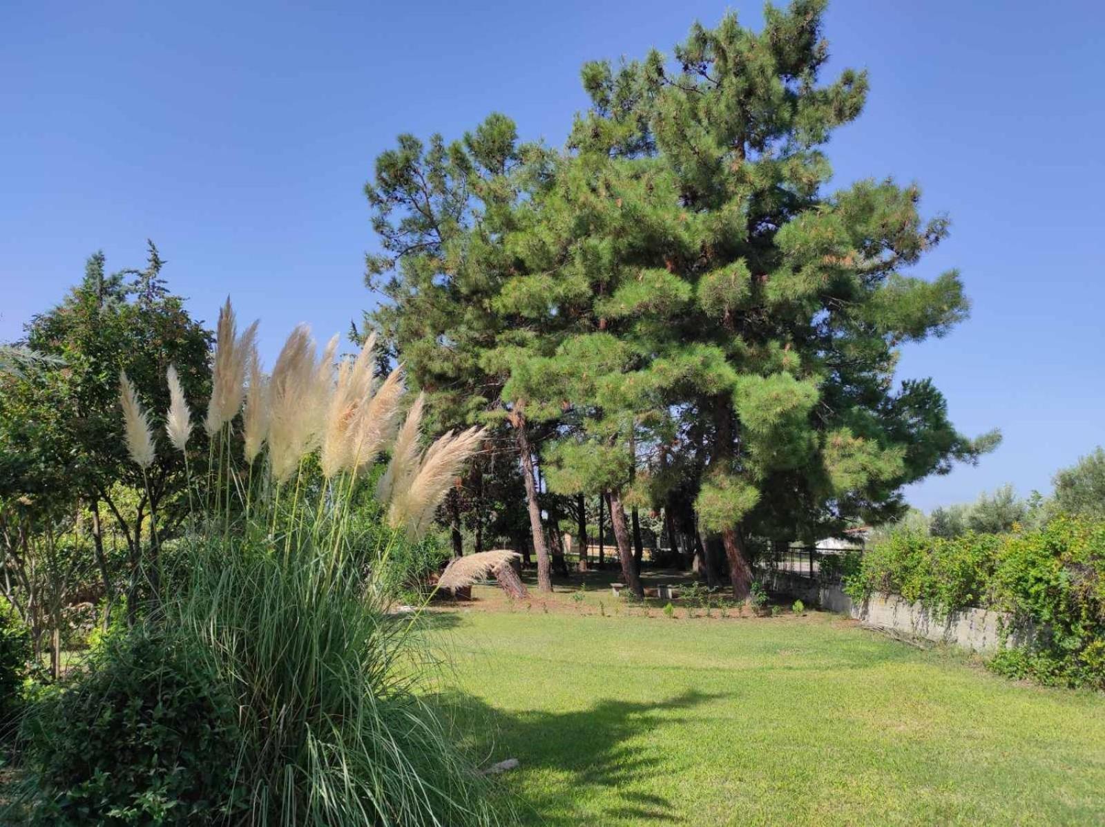 Pond And Pines, By Nice House By The Sea! Epanomi Zewnętrze zdjęcie