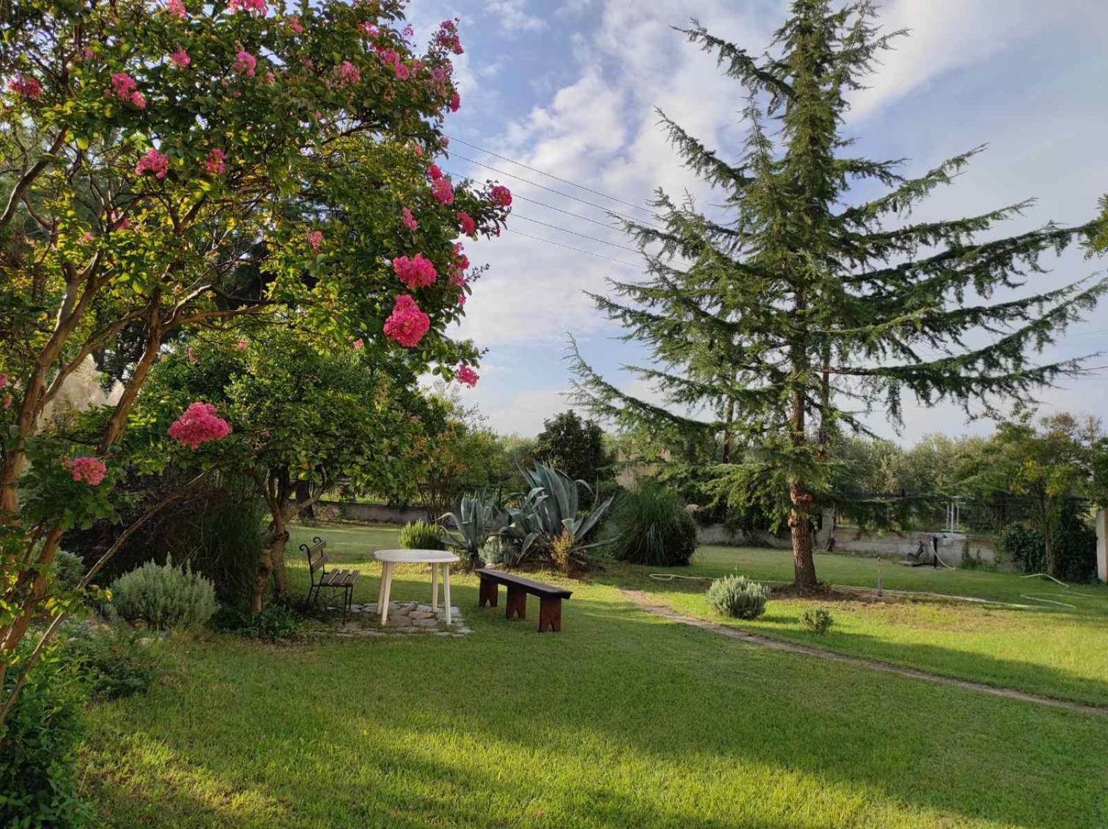 Pond And Pines, By Nice House By The Sea! Epanomi Zewnętrze zdjęcie
