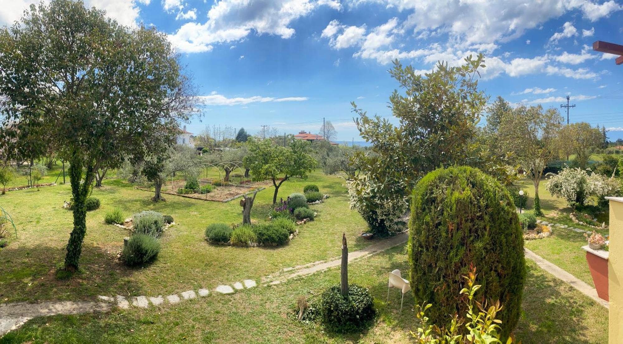 Pond And Pines, By Nice House By The Sea! Epanomi Zewnętrze zdjęcie